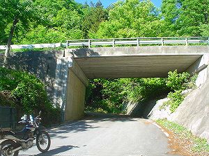 �E������1-4���ŃT�C�YbyORR