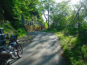 �E������1-7���ŃT�C�YbyORR