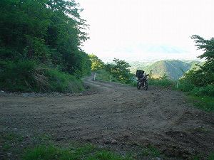 �E������2-3���ŃT�C�YbyORR