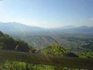 �E������2-4���ŃT�C�YbyORR