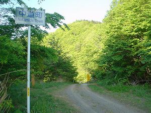 �E������3-2���ŃT�C�YbyORR