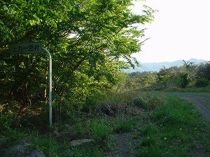 �E������3-4���ŃT�C�YbyORR