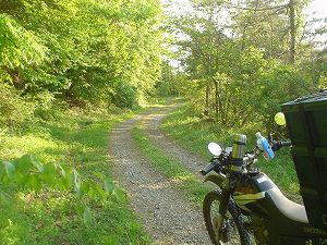 �E������3-6���ŃT�C�YbyORR