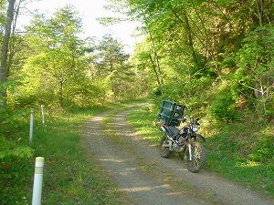 �E������3-7���ŃT�C�YbyORR