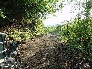 �E����������4-3byORR