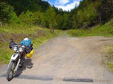 ���N�V��