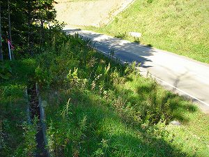 �m�q���i�����U�T�T���m�q�[����j