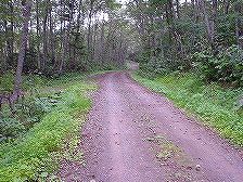 ���N�V�i�C��