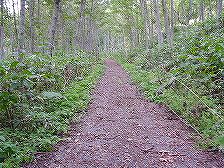 ���N�V�i�C��