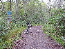 ���N�V�i�C��