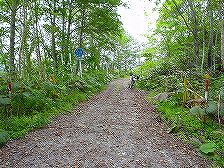 ���N�V�i�C��