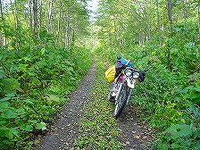 ���S����