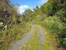 ���S����