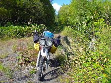 ���S����