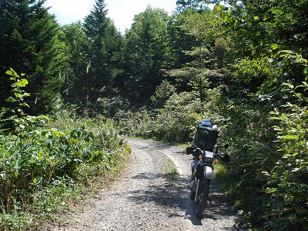 ���x�u��1-7