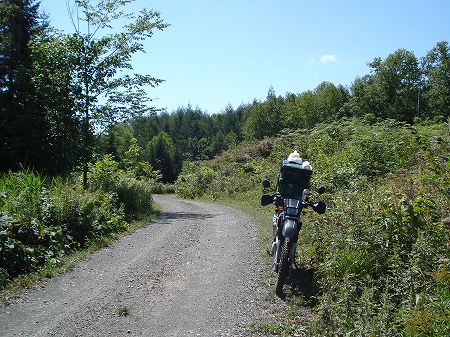 ���x�u��2-3