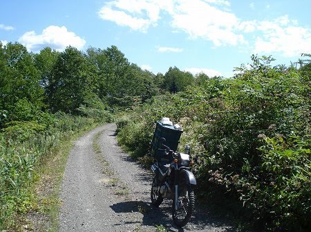 ���x�u��2-4