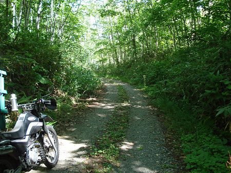 ���x�u��3-1