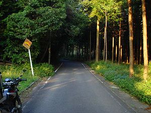 �ԗ����i����266�[������j��J�X�J�C���C��1-2�^ORR