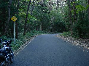 �ԗ����i����266�[������j��J�X�J�C���C��1-6�^ORR