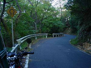 �ԗ����i����266�[������j��J�X�J�C���C��1-7�^ORR