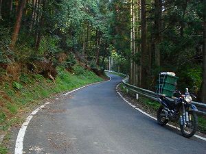 �ԗ����i����266�[������j��J�X�J�C���C��3-5�^ORR