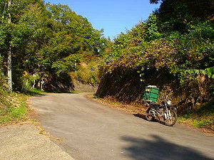 ������5�^ORR