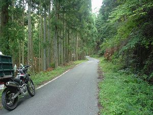 �M�⓻����2by�h���C�u���c�[�����O�̃l�^��ORR