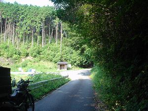 �M�⓻����3by�h���C�u���c�[�����O�̃l�^��ORR