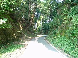 �M�⓻����4by�h���C�u���c�[�����O�̃l�^��ORR