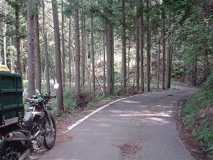 �M�⓻����5by�h���C�u���c�[�����O�̃l�^��ORR