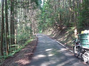 �M�⓻����6by�h���C�u���c�[�����O�̃l�^��ORR