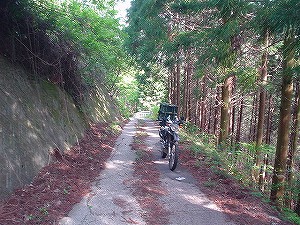 �F�䓻2-2�^ORR