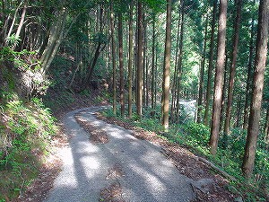 �F�䓻2-3�^ORR