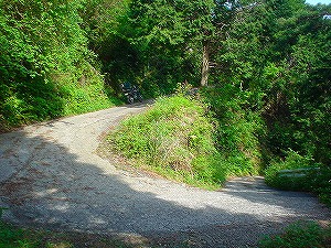 �F�䓻2-5�^ORR