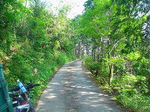 �F�䓻2-6�^ORR