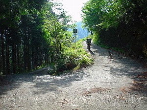 �F�䓻2-7�^ORR