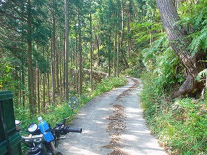 �F�䓻3-3�^ORR