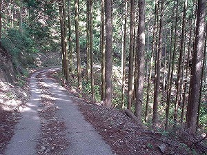 �F�䓻3-4�^ORR