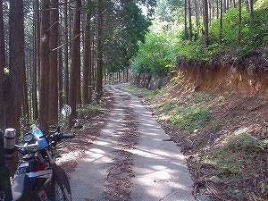 �F�䓻3-5�^ORR