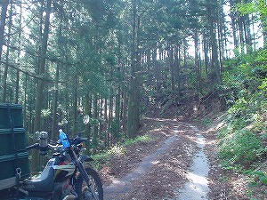 �F�䓻3-6�^ORR