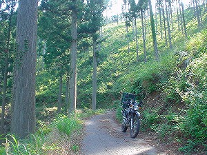 �F�䓻4-4�^ORR