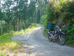 �F�䓻4-5�^ORR