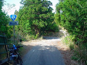 �F�䓻4-6�^ORR