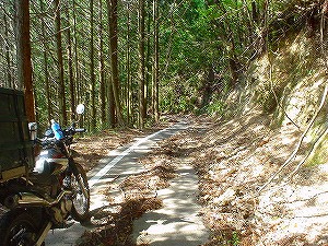 �F�䓻5-1�^ORR