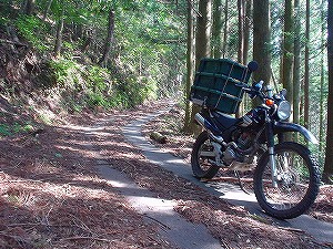 �F�䓻5-2�^ORR