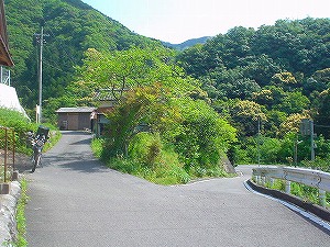 �F�䓻5-4�^ORR