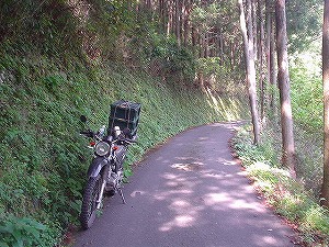 �F�䓻5-6�^ORR