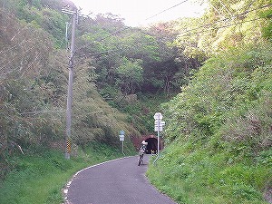 �R�Ǔ�[ORR�̓��H�����񍐏�]