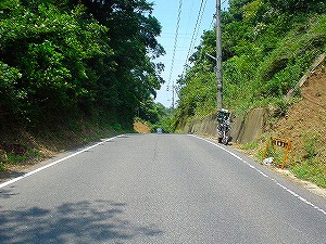 ���⓻[ORR�̓��H�����񍐏�]